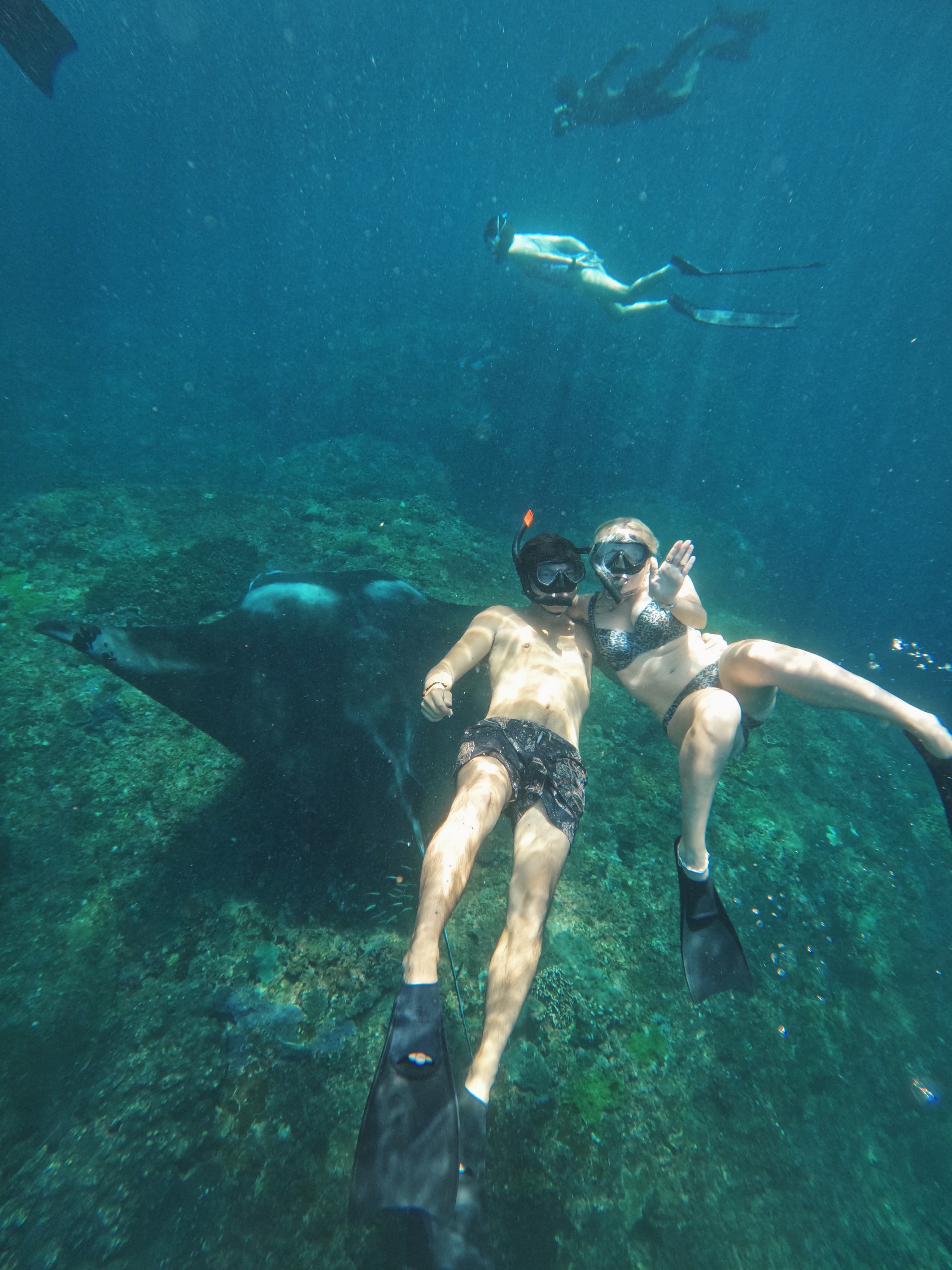 Tour Package Snorkeling Sharing Package in Nusa Lembongan & Penida by SakOcean